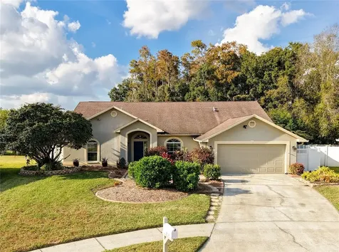 26203 Corkwood Court Land O Lakes FL 34639