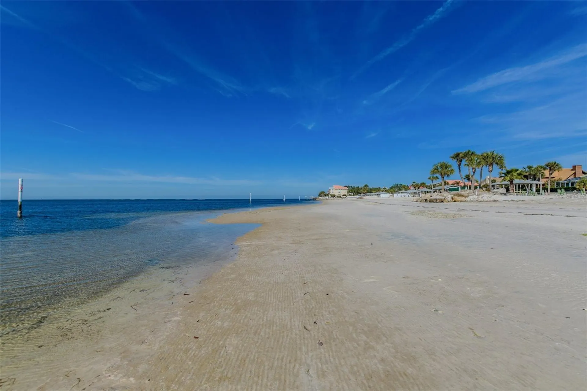 4911 Floramar Terrace New Port Richey FL 34652