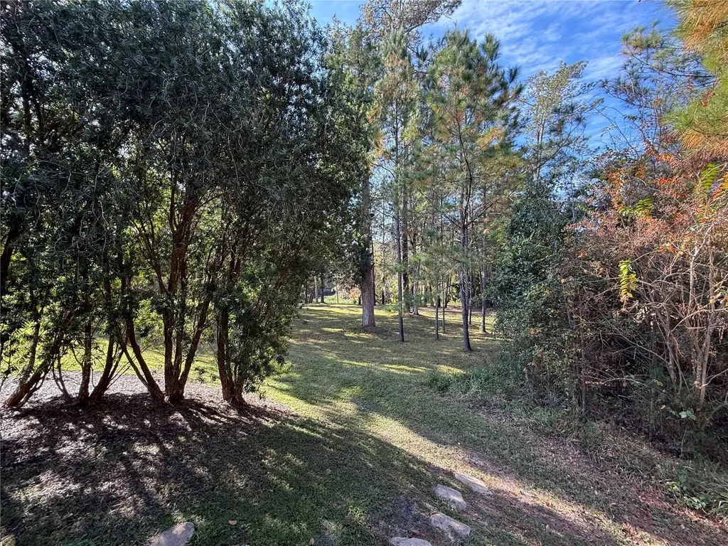 10249 NE 28th Loop Silver Springs FL 34488