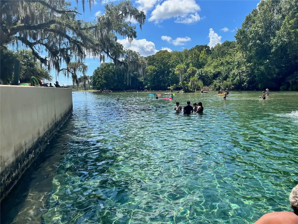 10249 NE 28th Loop Silver Springs FL 34488