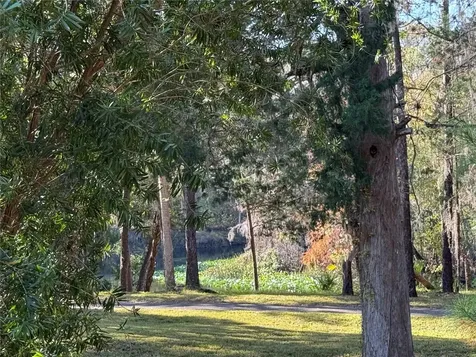 10249 NE 28th Loop Silver Springs FL 34488