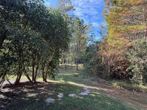 10249 NE 28th Loop Silver Springs FL 34488