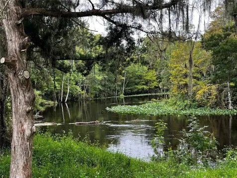 10249 NE 28th Loop Silver Springs FL 34488