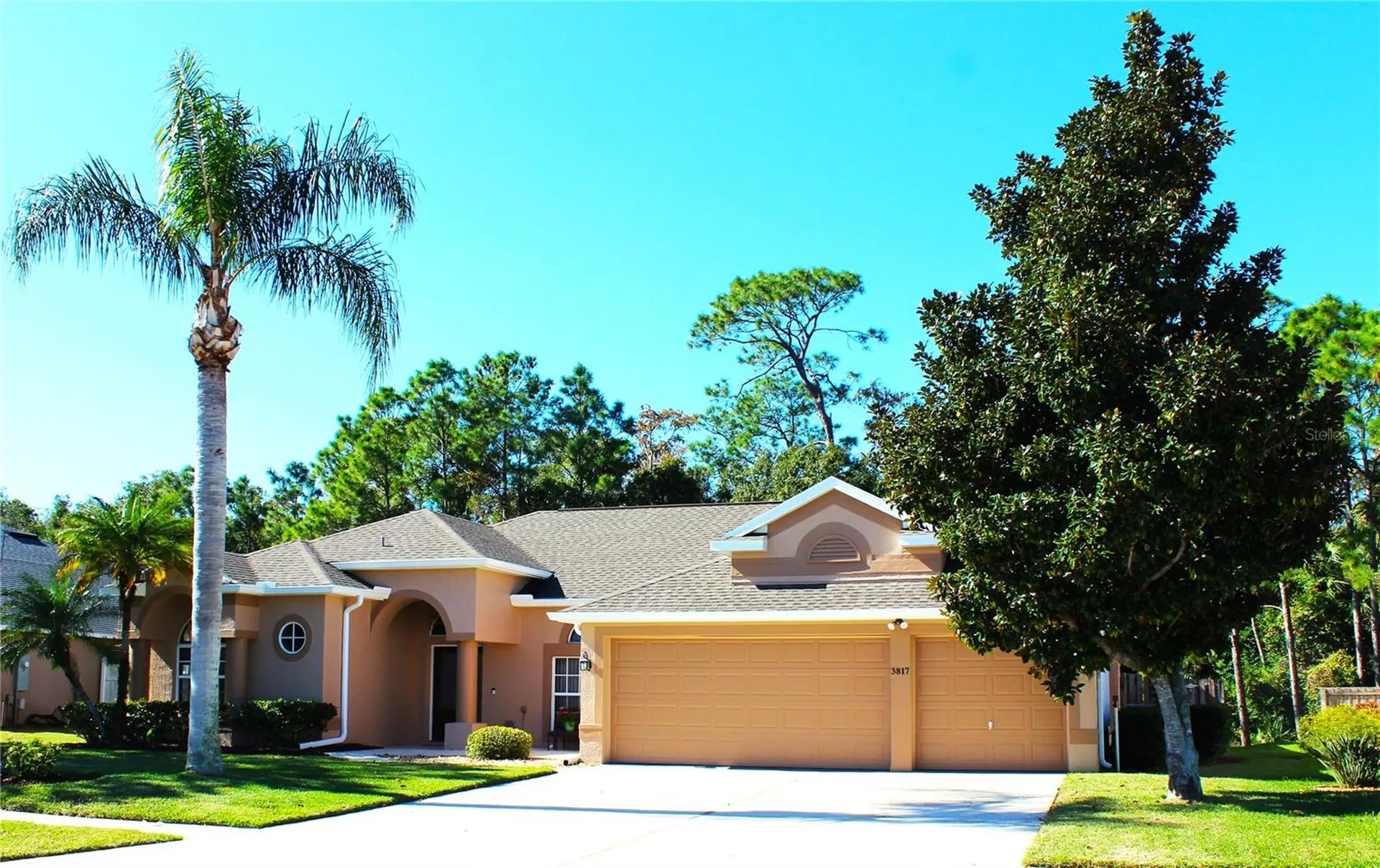 3817 Birch Mountain Road Port Orange FL 32129