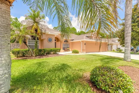 3817 Birch Mountain Road Port Orange FL 32129
