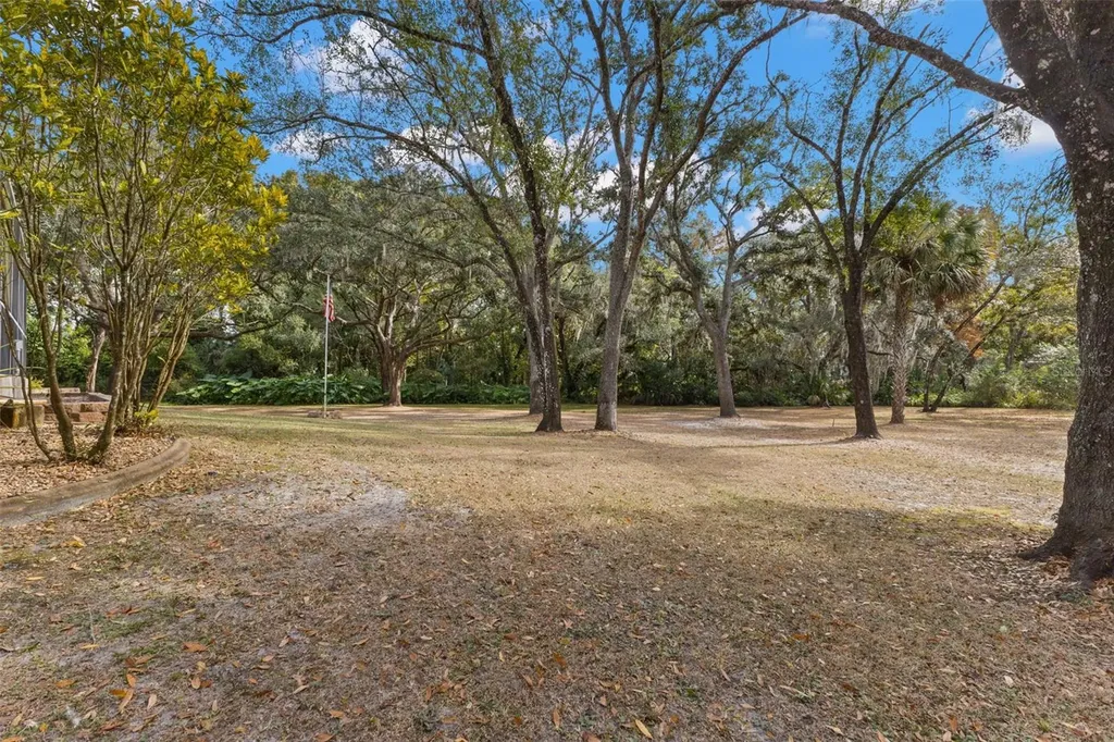 3734 Thornbush Lane New Port Richey FL 34655