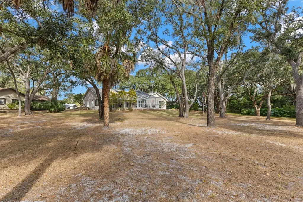 3734 Thornbush Lane New Port Richey FL 34655