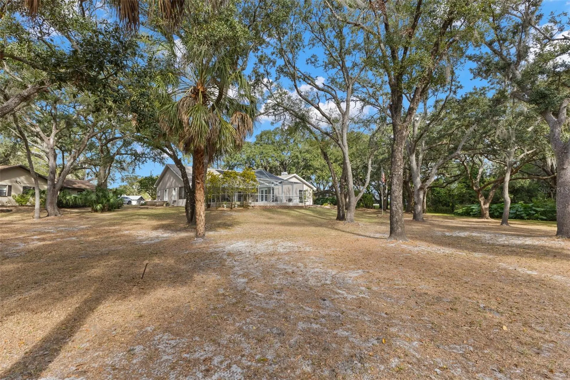 3734 Thornbush Lane New Port Richey FL 34655