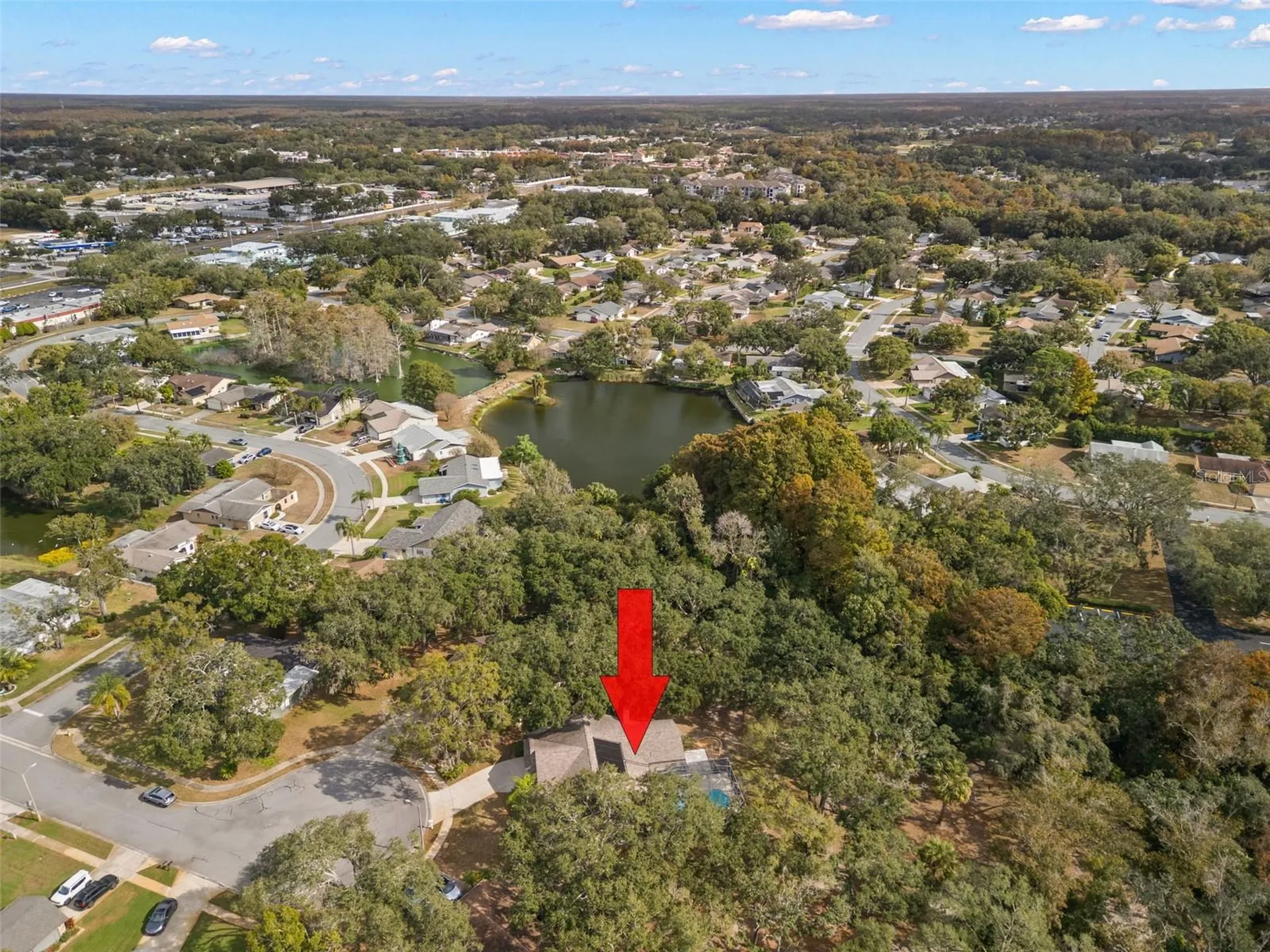 3734 Thornbush Lane New Port Richey FL 34655