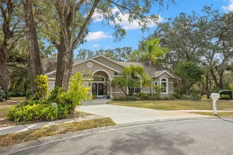 3734 Thornbush Lane New Port Richey FL 34655