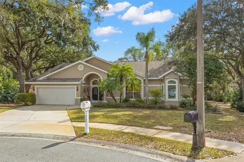 3734 Thornbush Lane New Port Richey FL 34655
