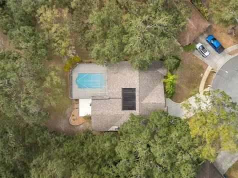 3734 Thornbush Lane New Port Richey FL 34655