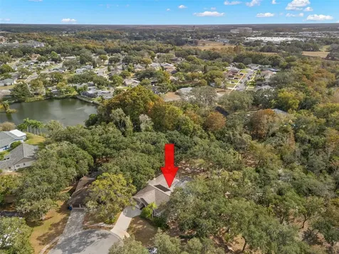 3734 Thornbush Lane New Port Richey FL 34655