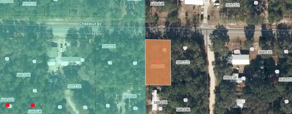 113 Chestnut Street Interlachen FL 32148