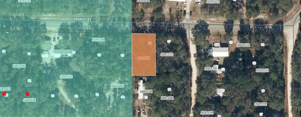 113 Chestnut Street Interlachen FL 32148