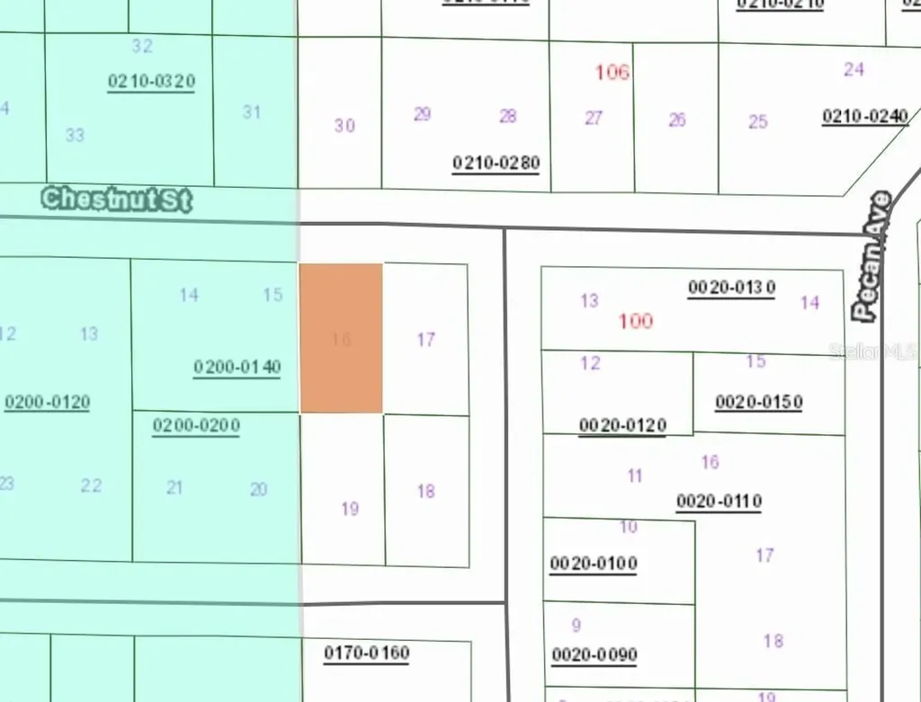 113 Chestnut Street Interlachen FL 32148