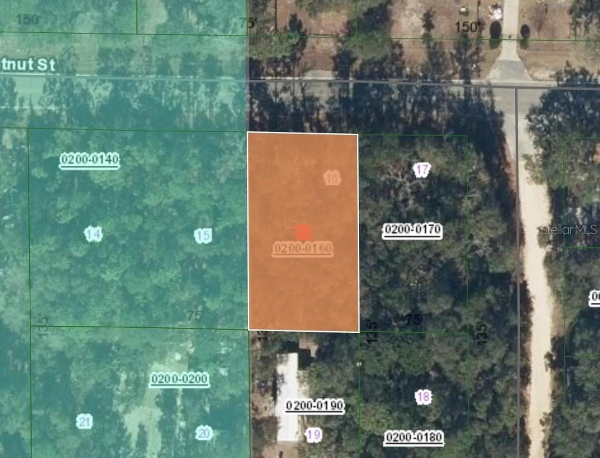 113 Chestnut Street Interlachen FL 32148