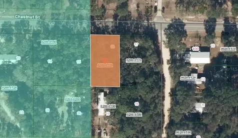 113 Chestnut Street Interlachen FL 32148