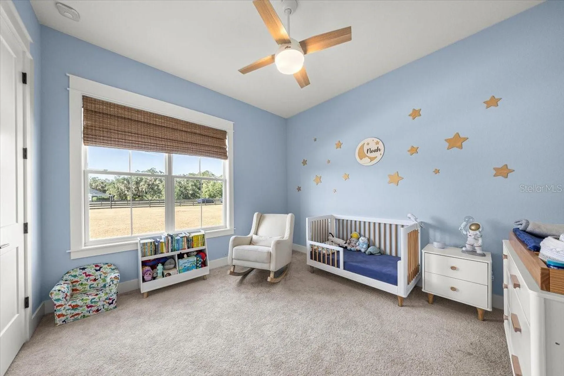 10561 NE 104th Circle Oxford FL 34484