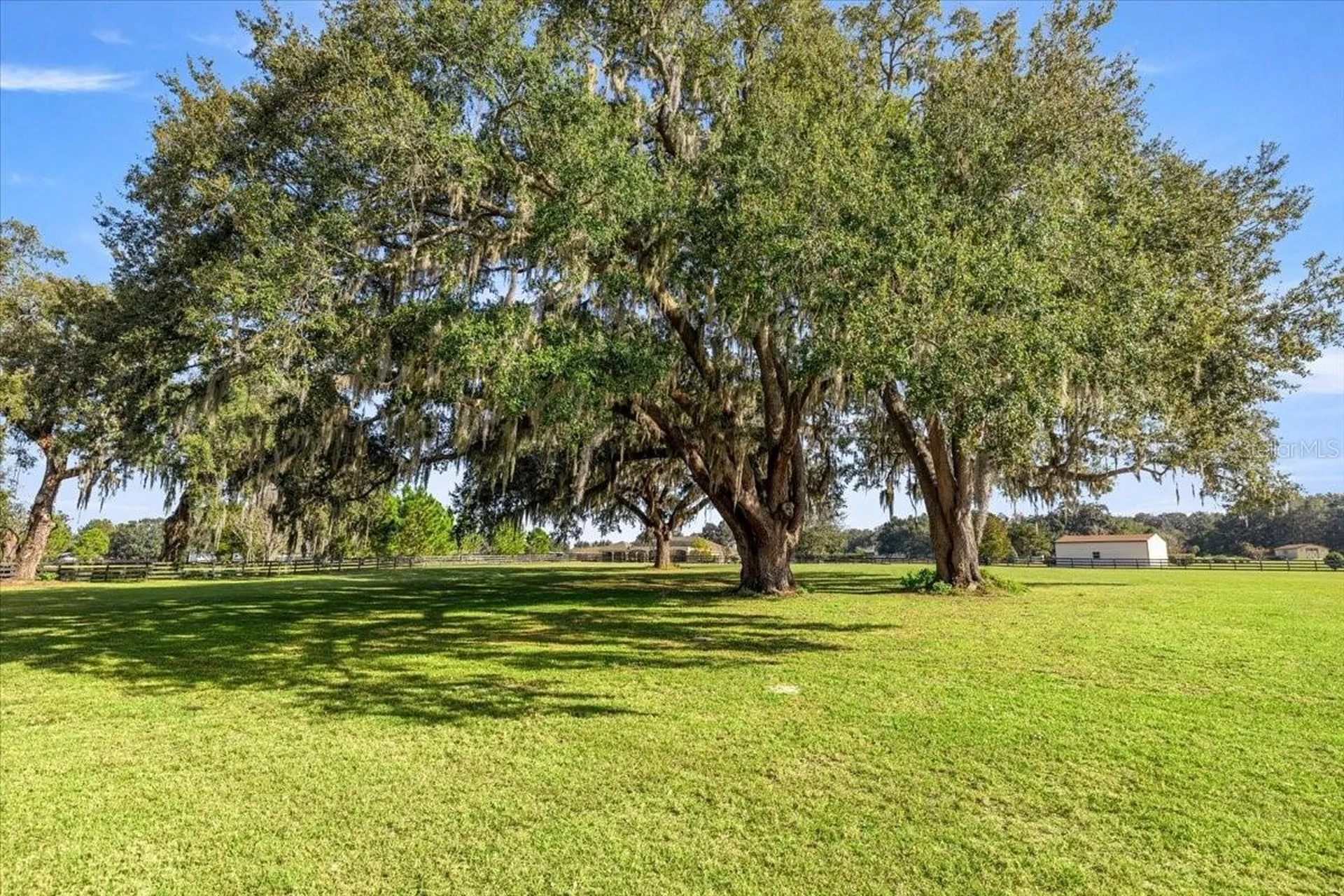 10561 NE 104th Circle Oxford FL 34484