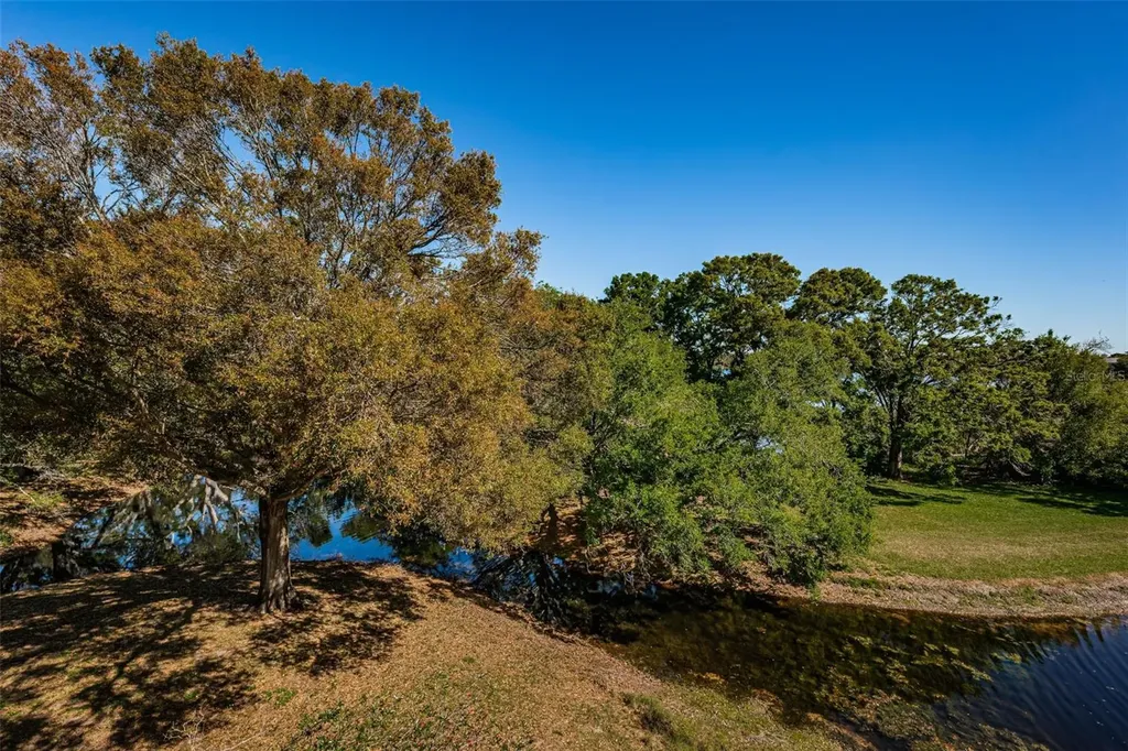 2019 Utopian Drive W Clearwater FL 33763