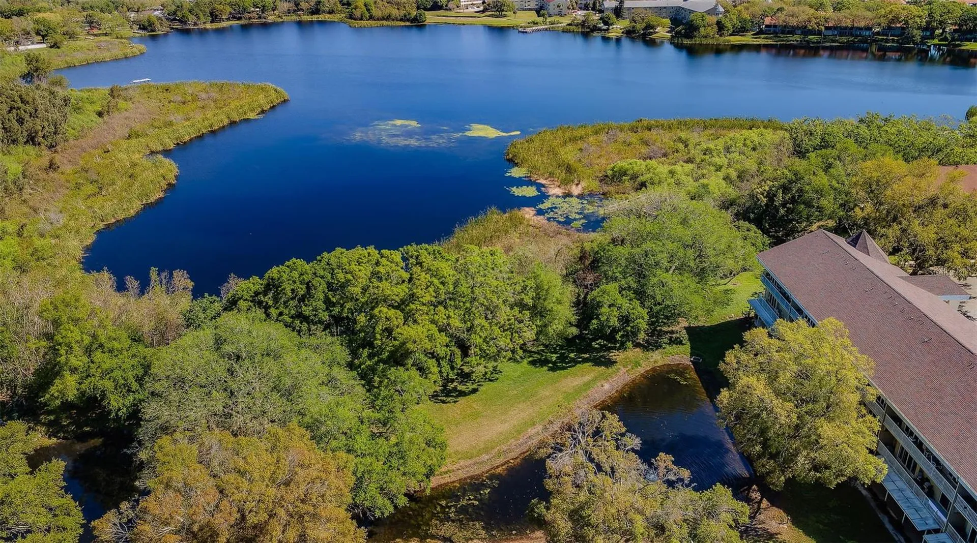 2019 Utopian Drive W Clearwater FL 33763