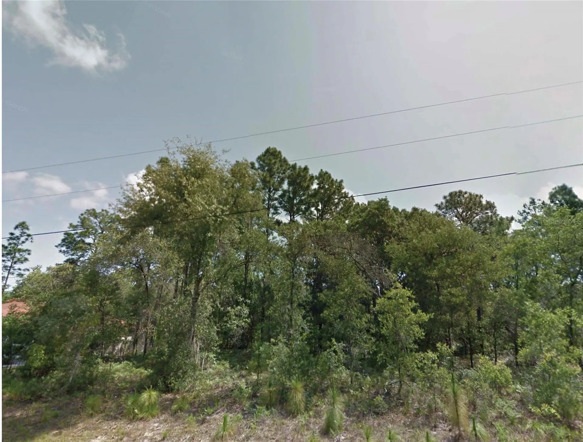 8383 N Manuetta Drive Citrus Springs FL 34434