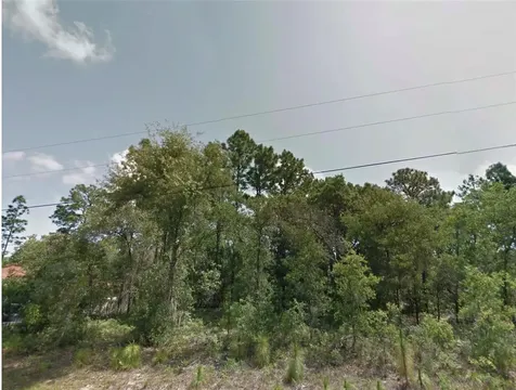 8383 N Manuetta Drive Citrus Springs FL 34434