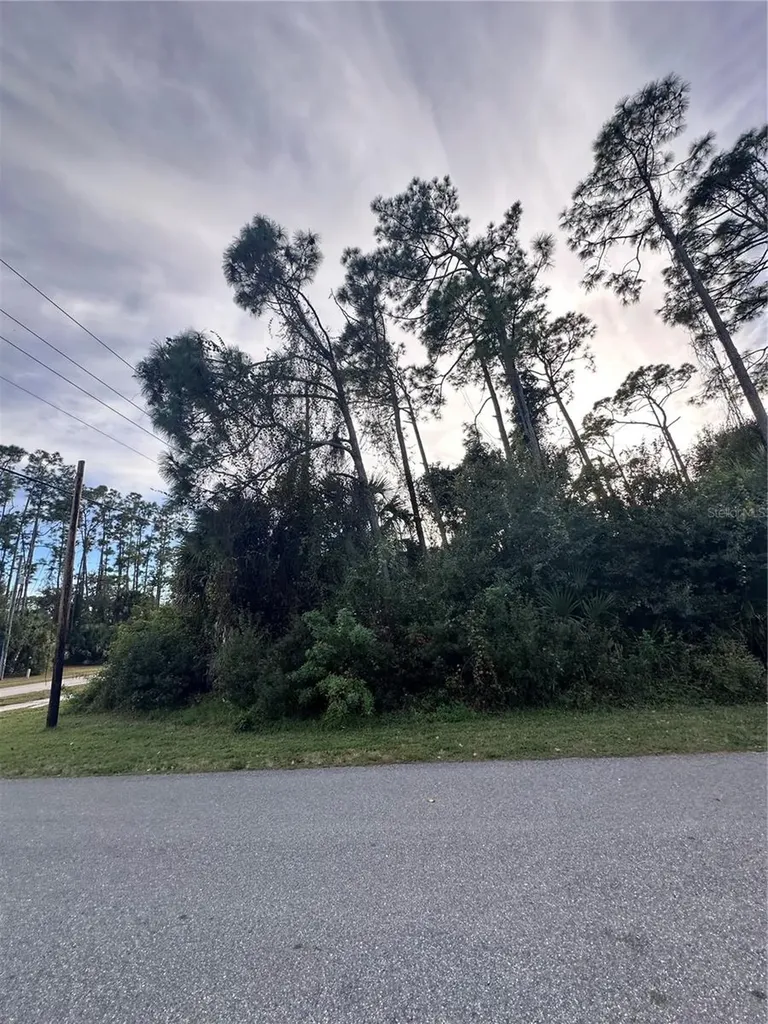 Lot 19 Broad Avenue North Port FL 34286