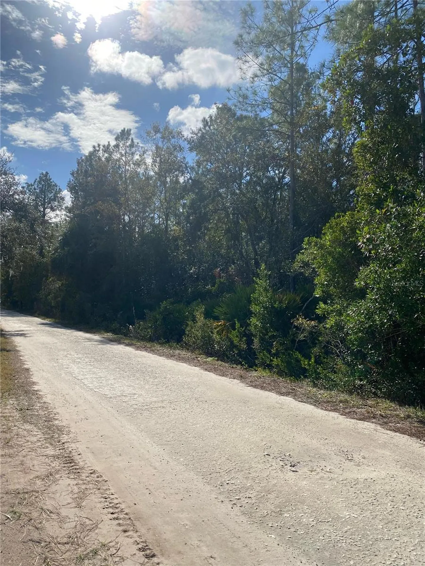 862 Lamar Street E Lehigh Acres FL 33974