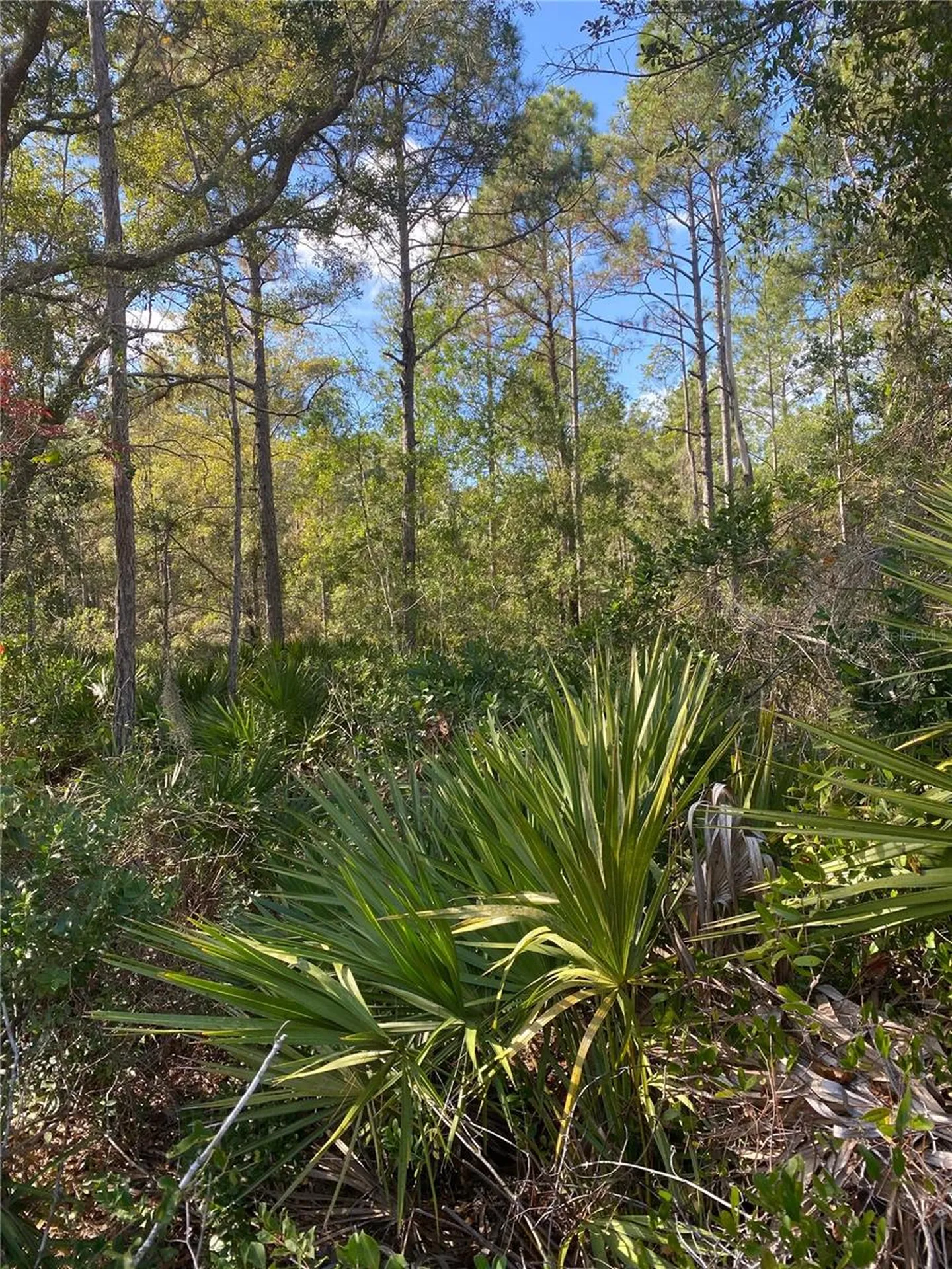 862 Lamar Street E Lehigh Acres FL 33974
