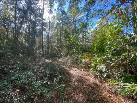 862 Lamar Street E Lehigh Acres FL 33974