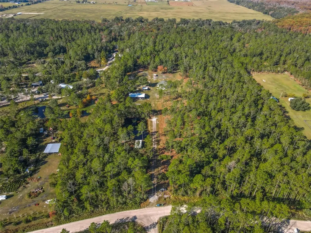 6100 Winning Wood Trail De Leon Springs FL 32130