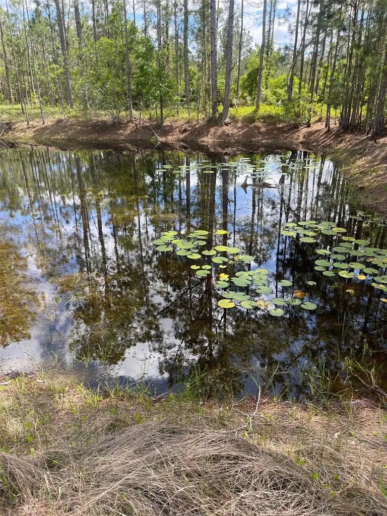 6100 Winning Wood Trail De Leon Springs FL 32130