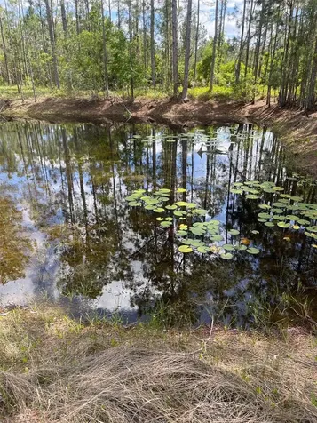 6100 Winning Wood Trail De Leon Springs FL 32130