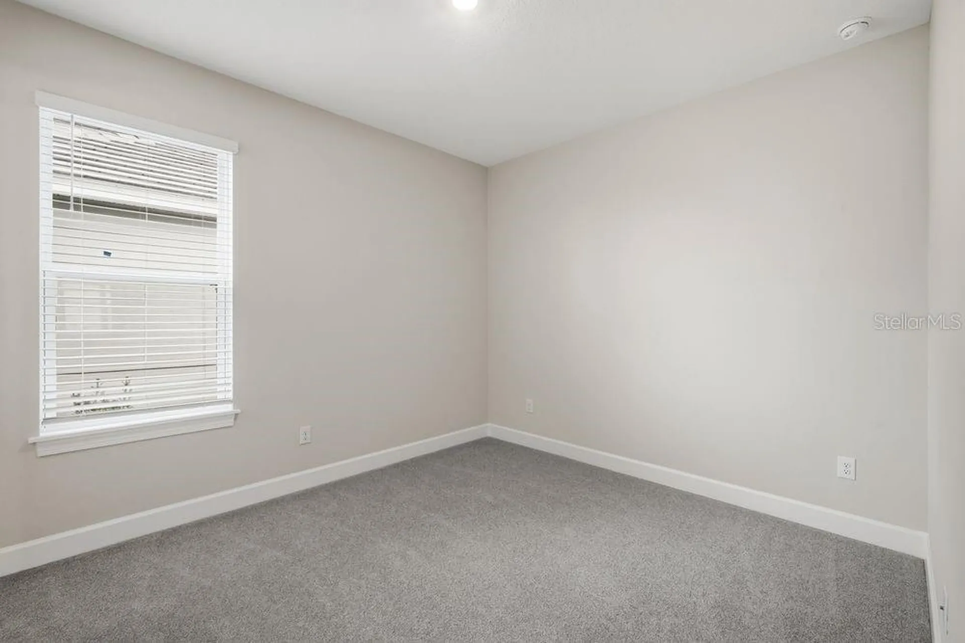 3863 Figliolia Way Wesley Chapel FL 33543