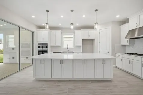 3863 Figliolia Way Wesley Chapel FL 33543