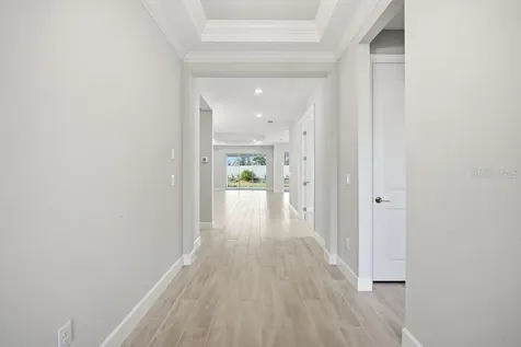 3863 Figliolia Way Wesley Chapel FL 33543