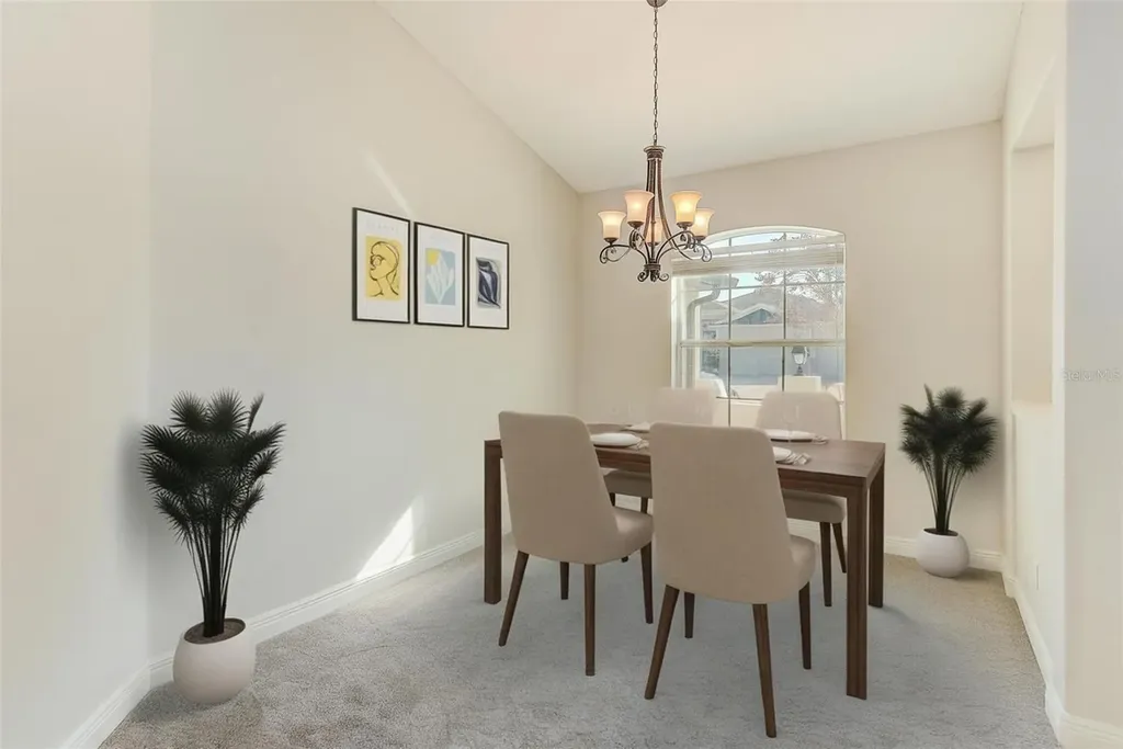 2134 Valterra Vista Way Valrico FL 33594