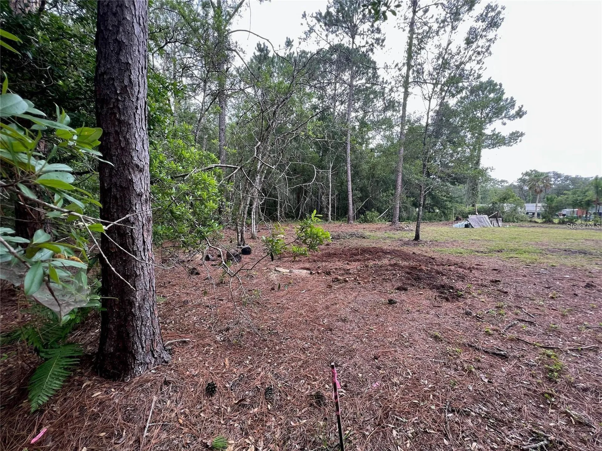 12955 Rio Vista Avenue New Port Richey FL 34654