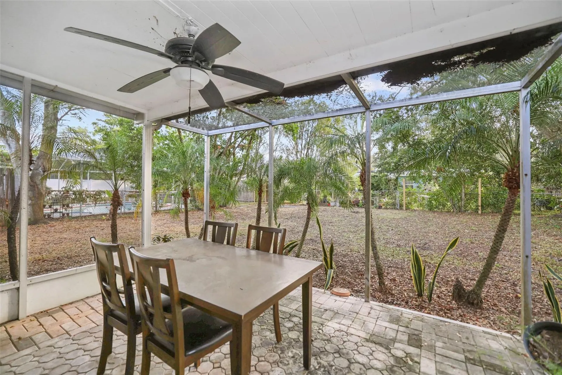 310 Scott Court Palm Harbor FL 34684