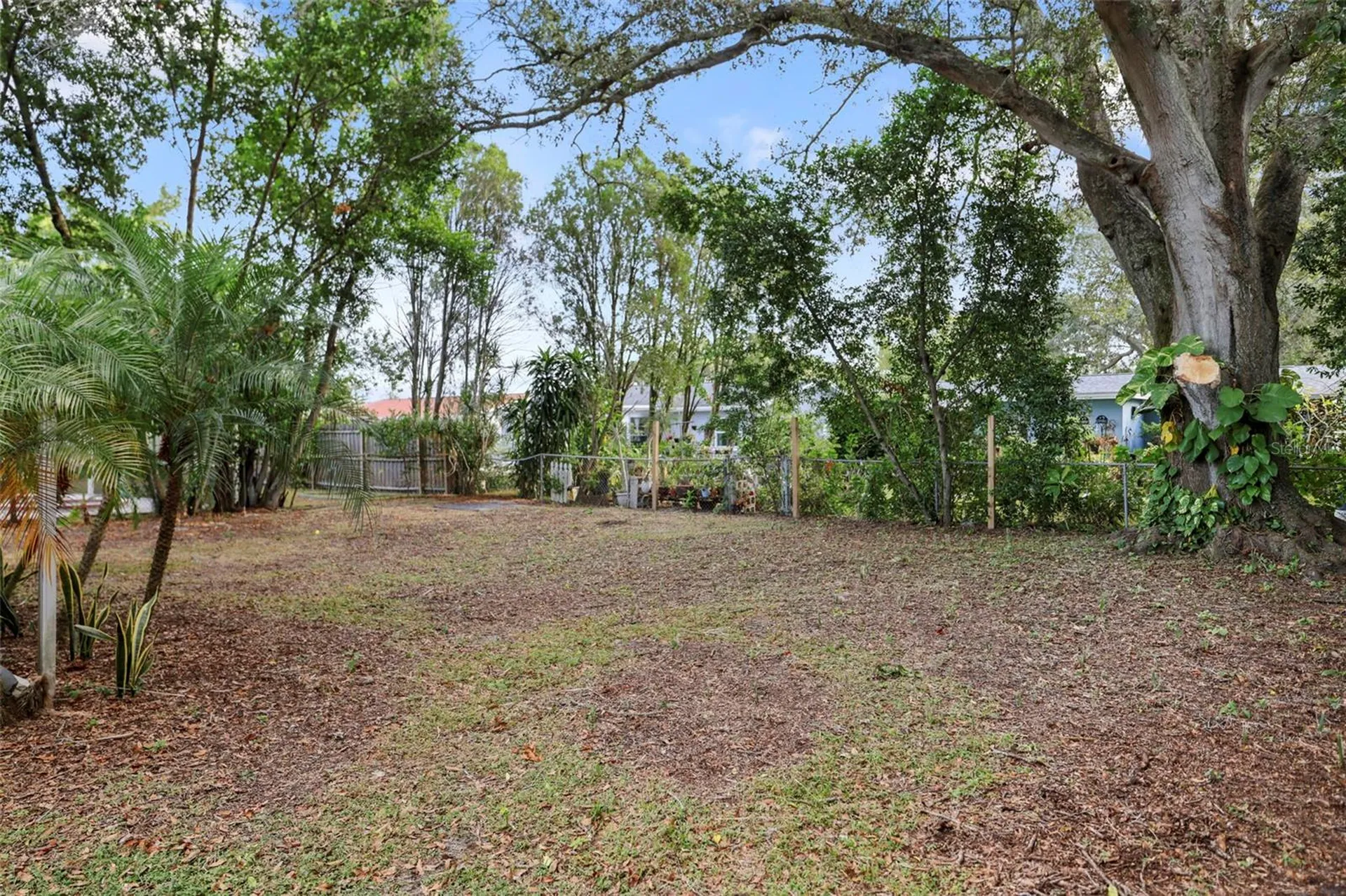 310 Scott Court Palm Harbor FL 34684