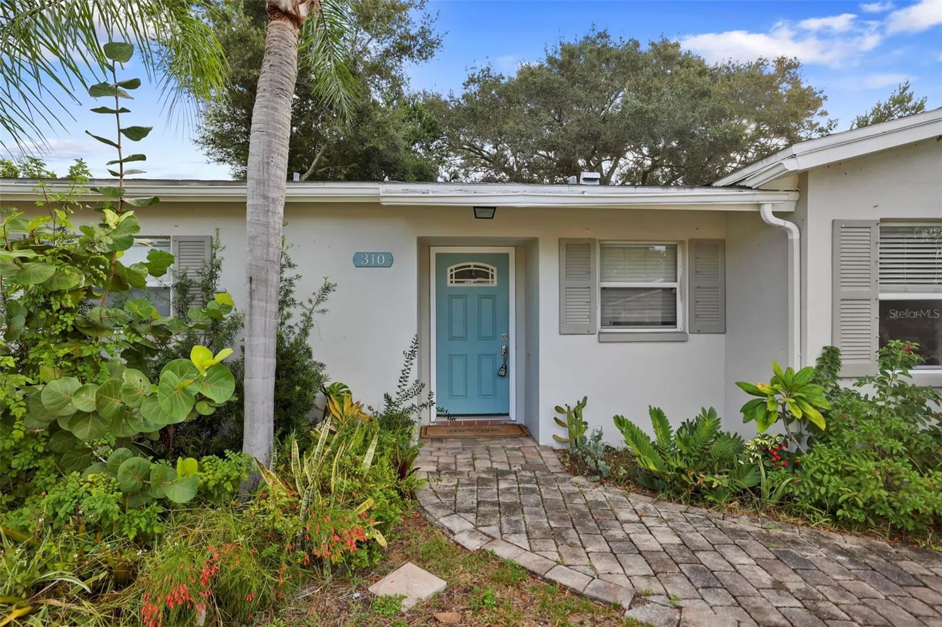 310 Scott Court Palm Harbor FL 34684