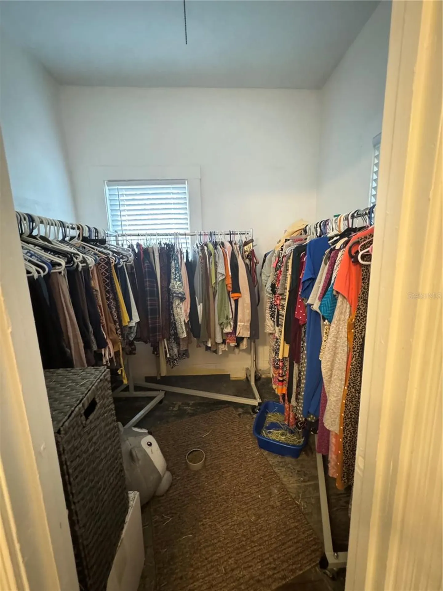 8410 N Mitchell Avenue Tampa FL 33604