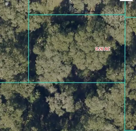 14383 SE 42nd Terrace Ocala FL 34491