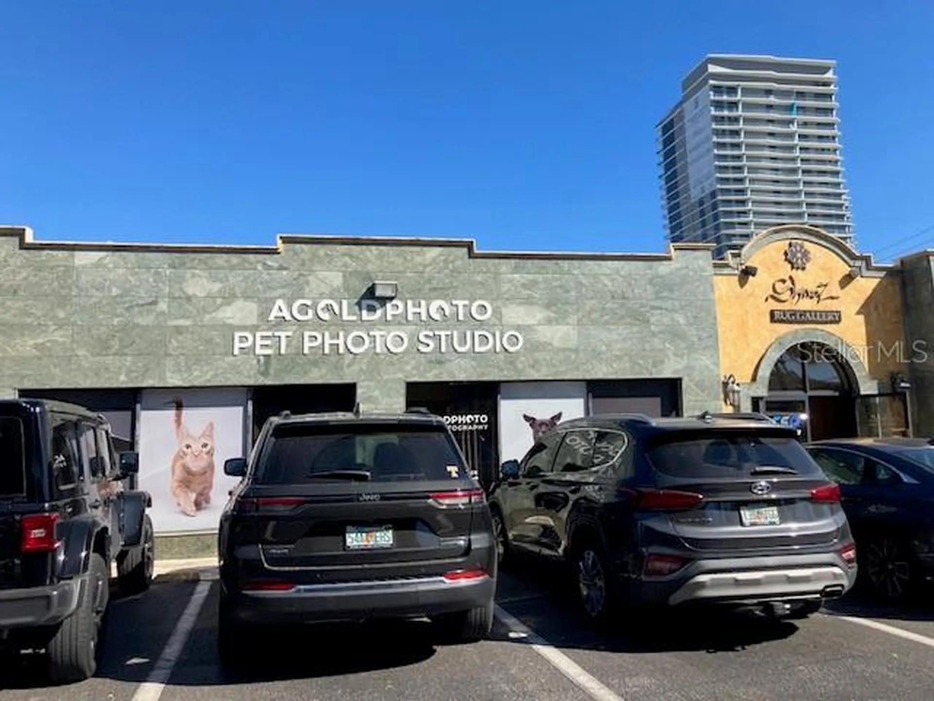 3105 W Bay To Bay Boulevard Tampa FL 33629