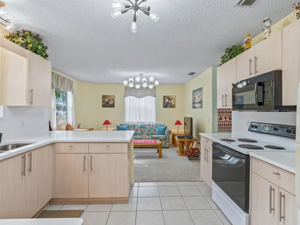 304 San Marino Drive The Villages FL 32159