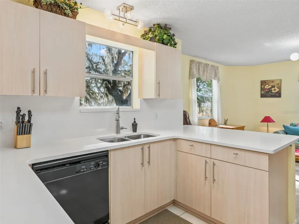 304 San Marino Drive The Villages FL 32159