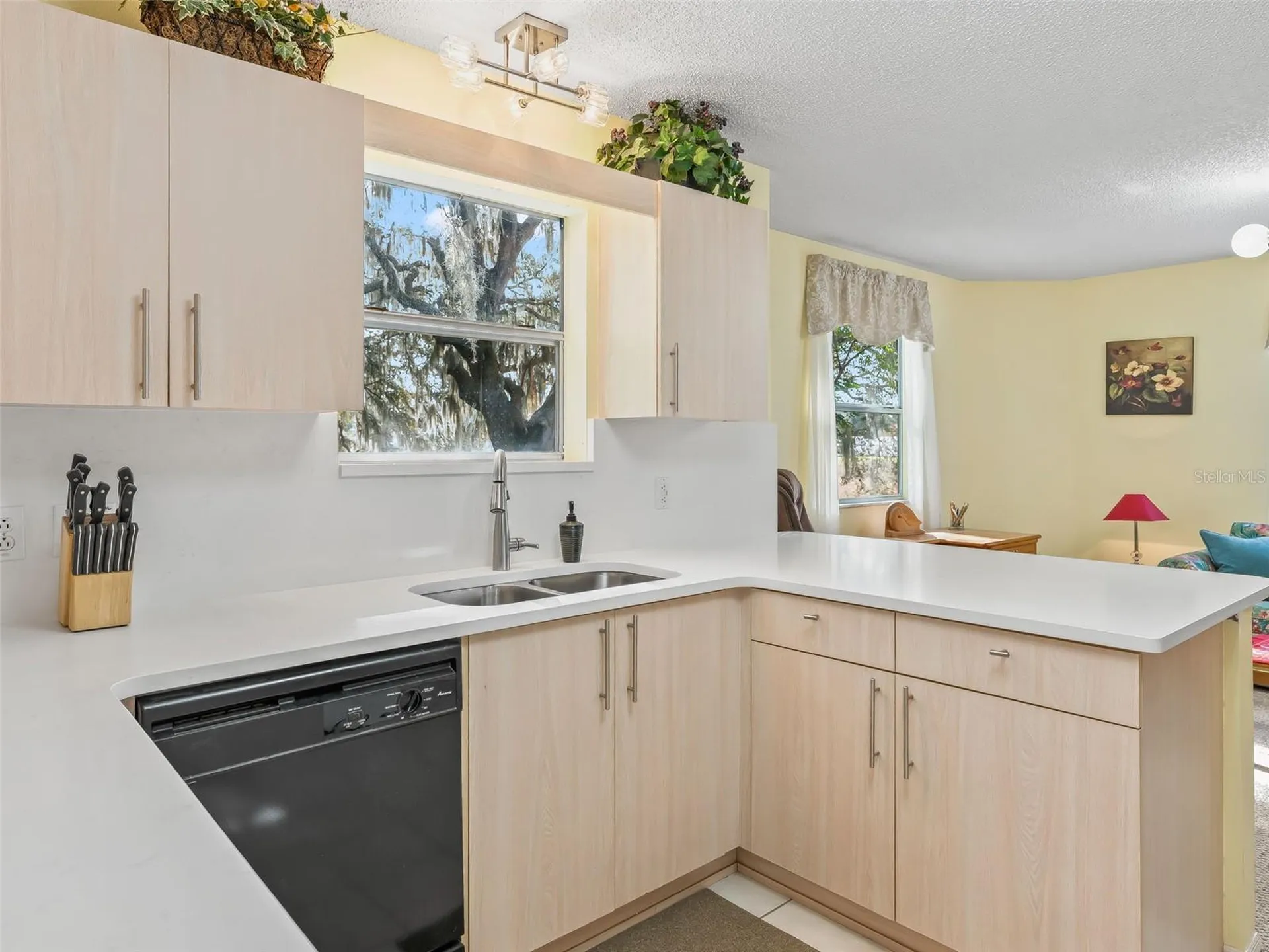 304 San Marino Drive The Villages FL 32159
