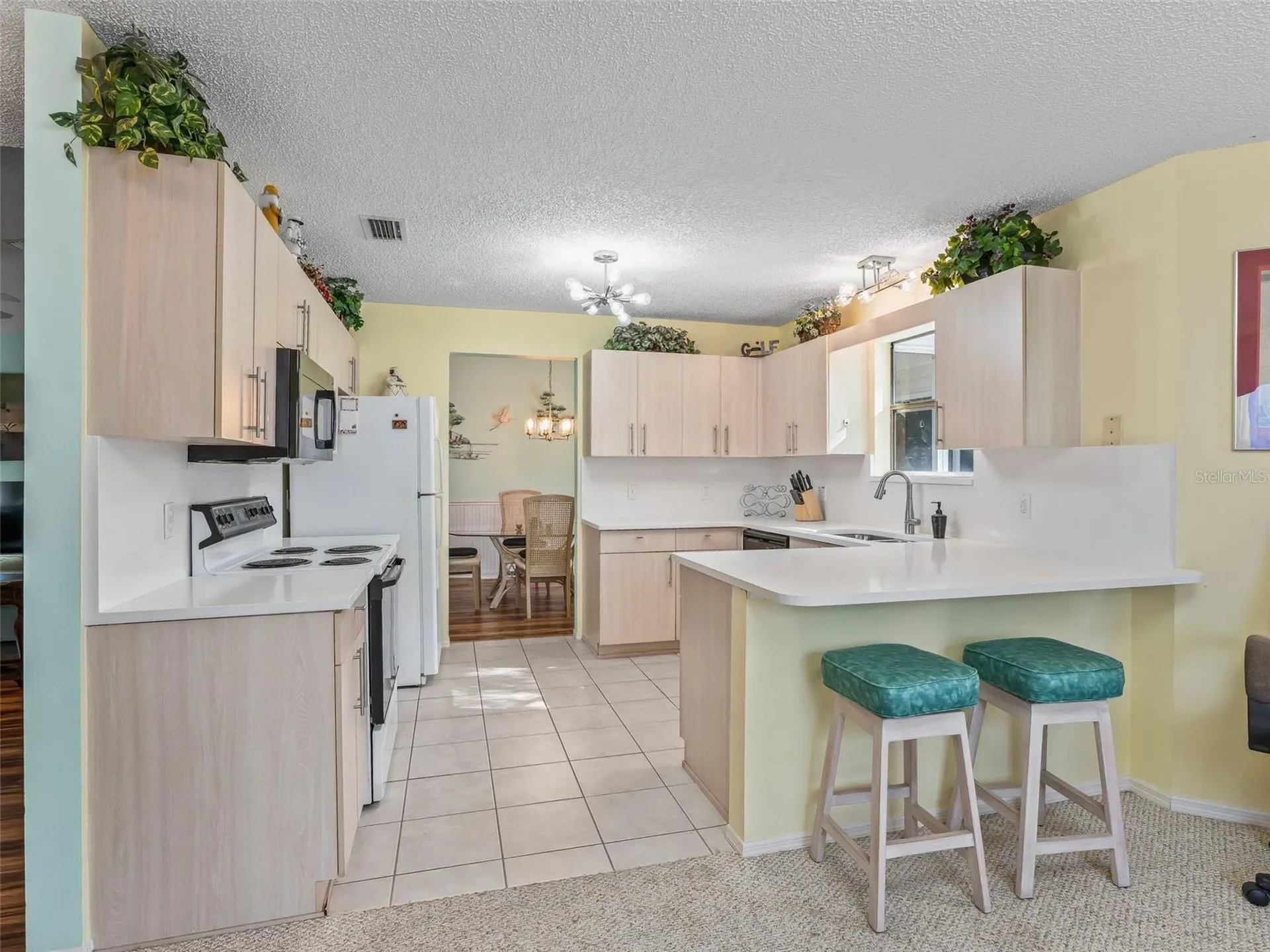 304 San Marino Drive The Villages FL 32159